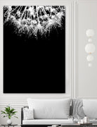 Crystal II by Incado on GIANT ART - multicolor photography; floral/still life