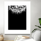 Crystal II by Incado on GIANT ART - multicolor photography; floral/still life