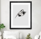 Flying Bird II by Incado on GIANT ART - multicolor animals