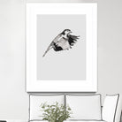 Flying Bird II by Incado on GIANT ART - multicolor animals