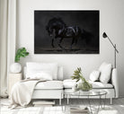Onyx by PhotoINC Studio on GIANT ART - multicolor photography; animals