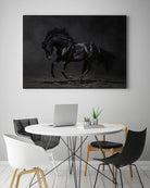 Onyx by PhotoINC Studio on GIANT ART - multicolor photography; animals