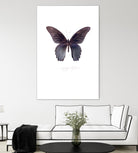 Enjoy Life by TypeLike on GIANT ART - multicolor animals