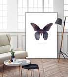Enjoy Life by TypeLike on GIANT ART - multicolor animals