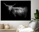 Hello by PhotoINC Studio on GIANT ART - multicolor animals; photography