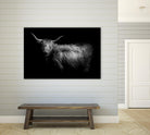 Hello by PhotoINC Studio on GIANT ART - multicolor animals; photography