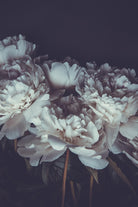 Romantic by PhotoINC Studio on GIANT ART - multicolor floral/still life; photography