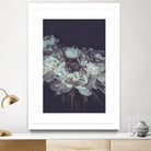 Romantic by PhotoINC Studio on GIANT ART - multicolor floral/still life; photography