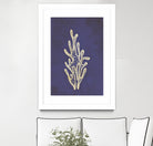 Coral by Incado on GIANT ART - multicolor floral/still life; contemporary