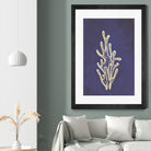 Coral by Incado on GIANT ART - multicolor floral/still life; contemporary