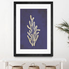 Coral by Incado on GIANT ART - multicolor floral/still life; contemporary