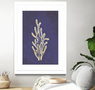Coral by Incado on GIANT ART - multicolor floral/still life; contemporary