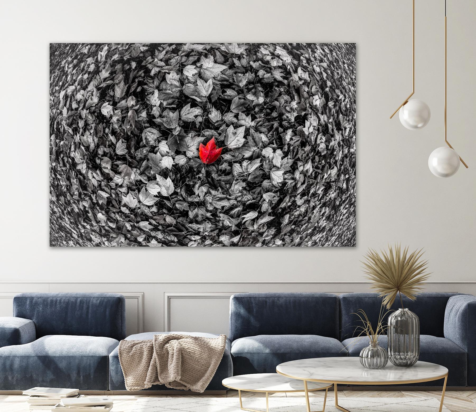Alone by Vladimir Kostka on GIANT ART - multicolor photography; floral/still life