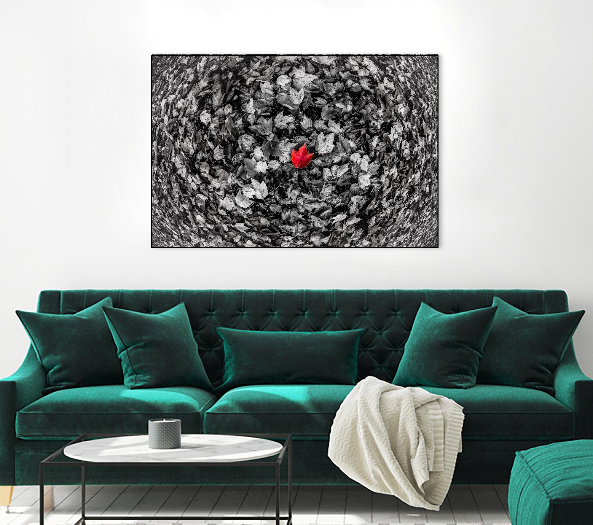 Alone by Vladimir Kostka on GIANT ART - multicolor photography; floral/still life