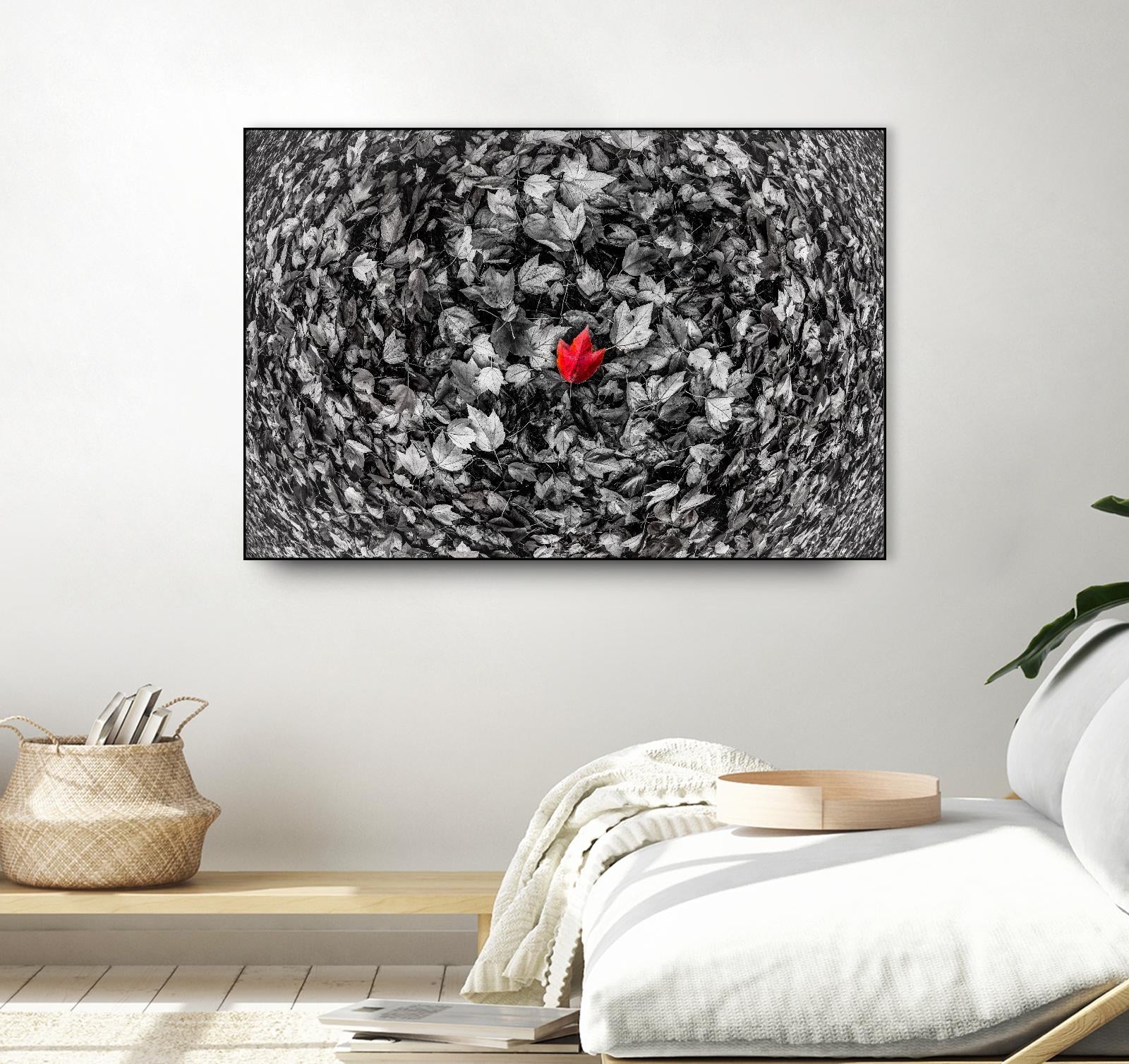 Alone by Vladimir Kostka on GIANT ART - multicolor photography; floral/still life
