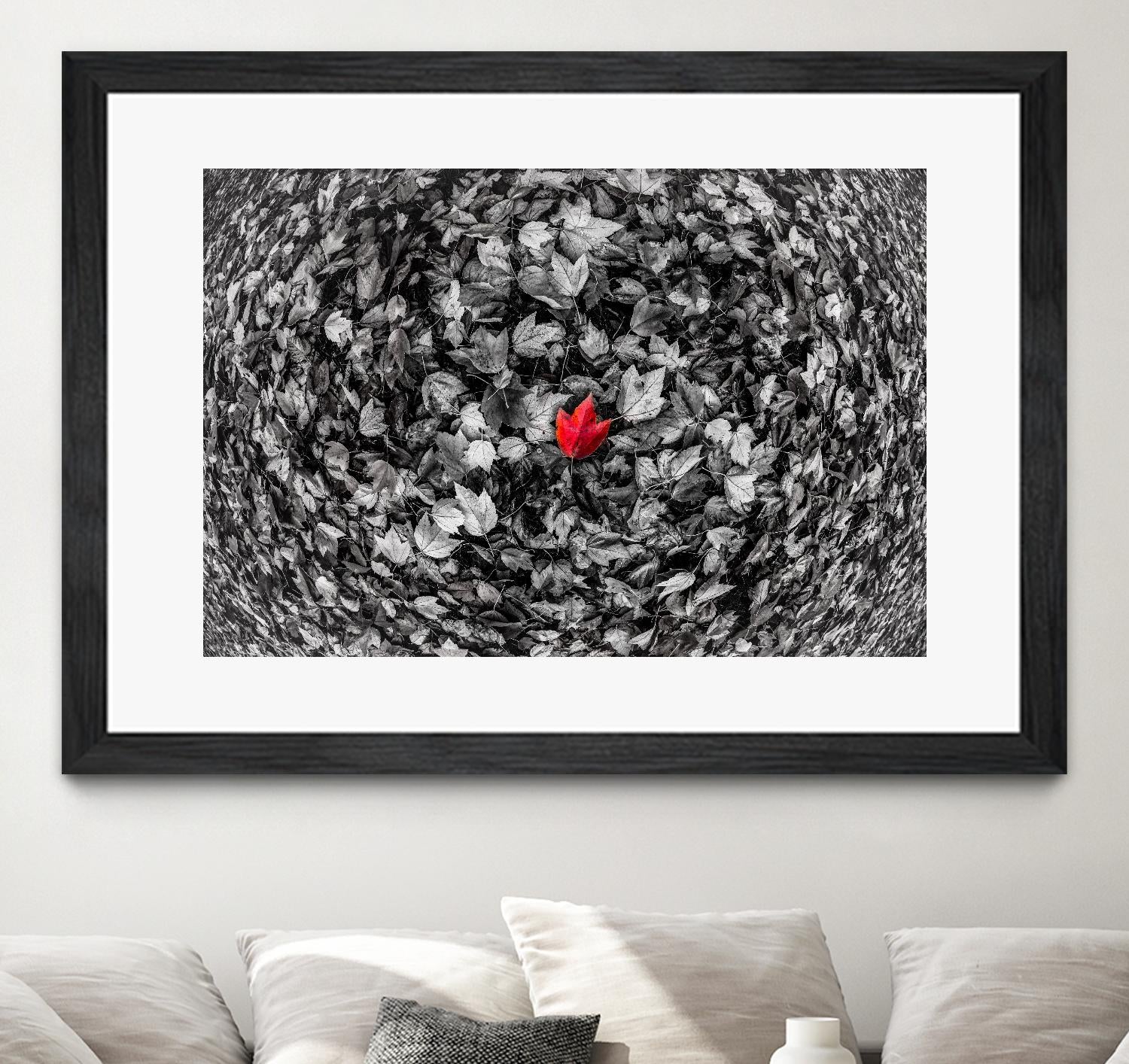 Alone by Vladimir Kostka on GIANT ART - multicolor photography; floral/still life