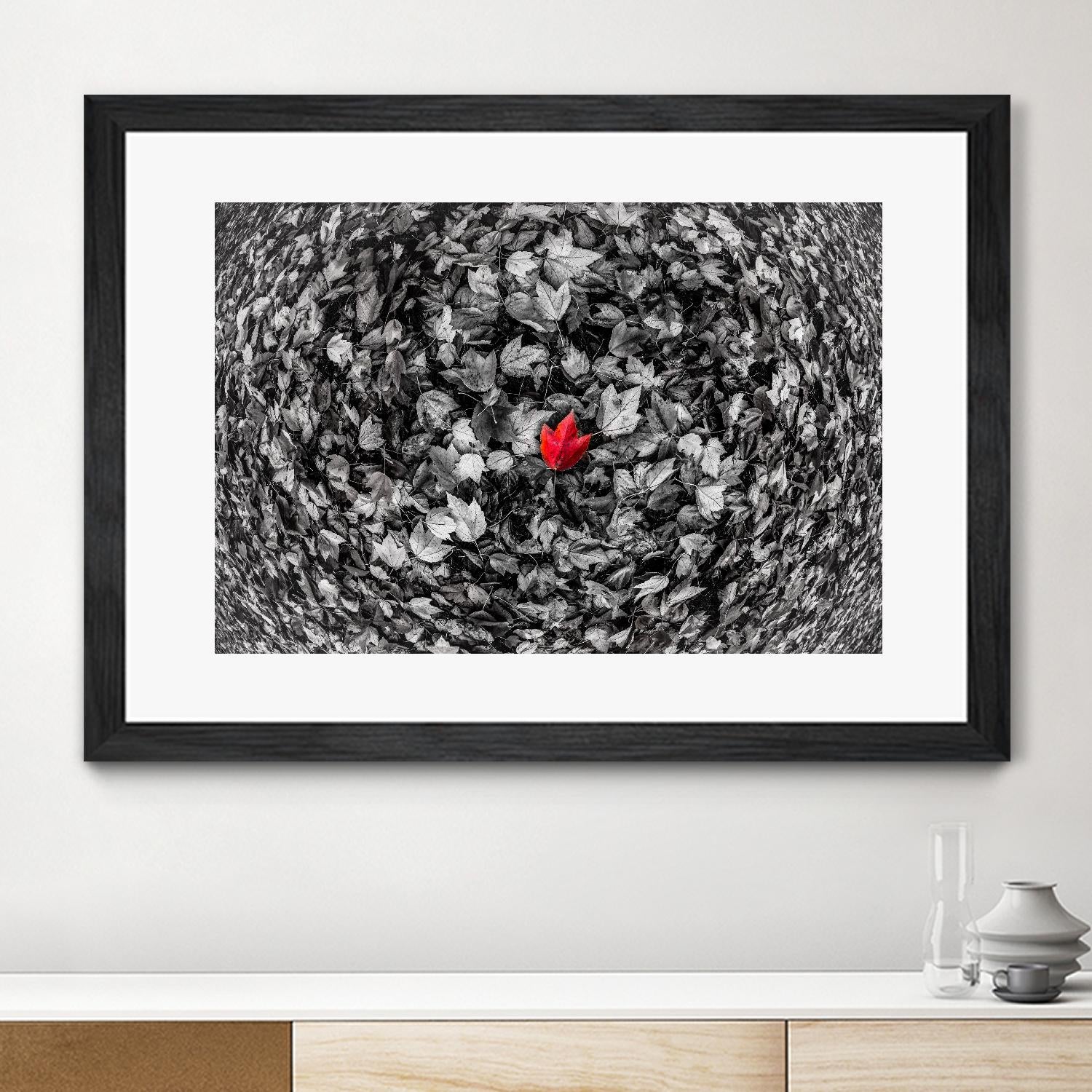 Alone by Vladimir Kostka on GIANT ART - multicolor photography; floral/still life