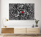 Alone by Vladimir Kostka on GIANT ART - multicolor photography; floral/still life