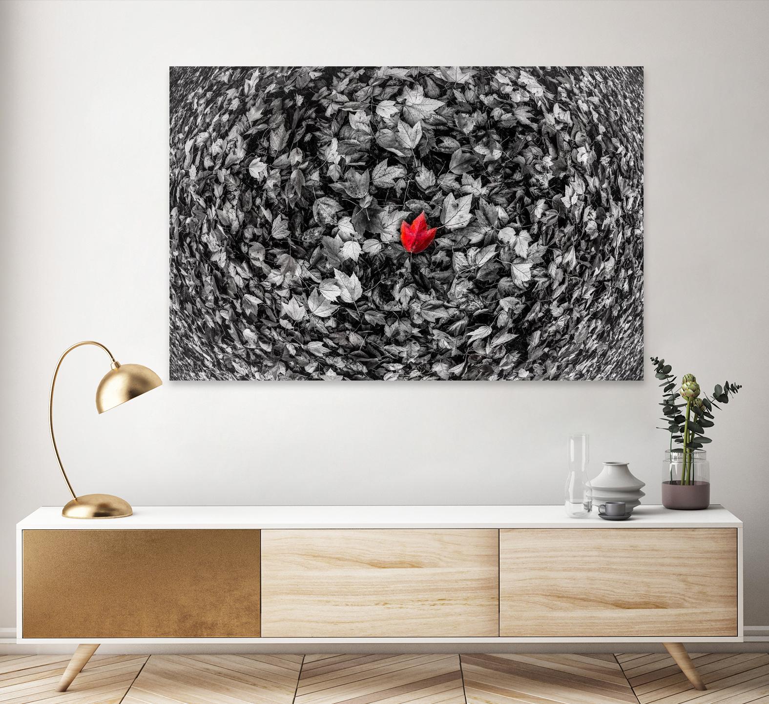 Alone by Vladimir Kostka on GIANT ART - multicolor photography; floral/still life