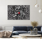 Alone by Vladimir Kostka on GIANT ART - multicolor photography; floral/still life