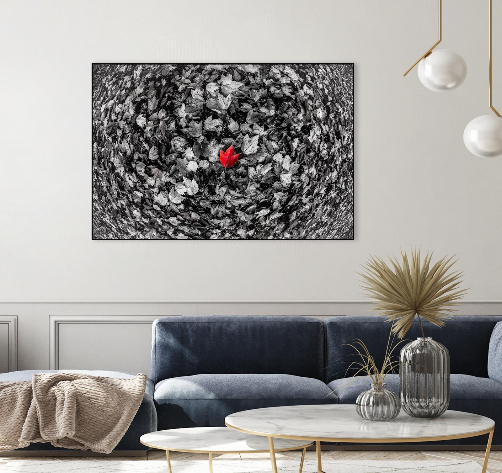 Alone by Vladimir Kostka on GIANT ART - multicolor photography; floral/still life