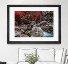 Othello Tunnels by Vladimir Kostka on GIANT ART - multicolor photography; landscapes