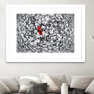 Together by Vladimir Kostka on GIANT ART - multicolor photography; floral/still life