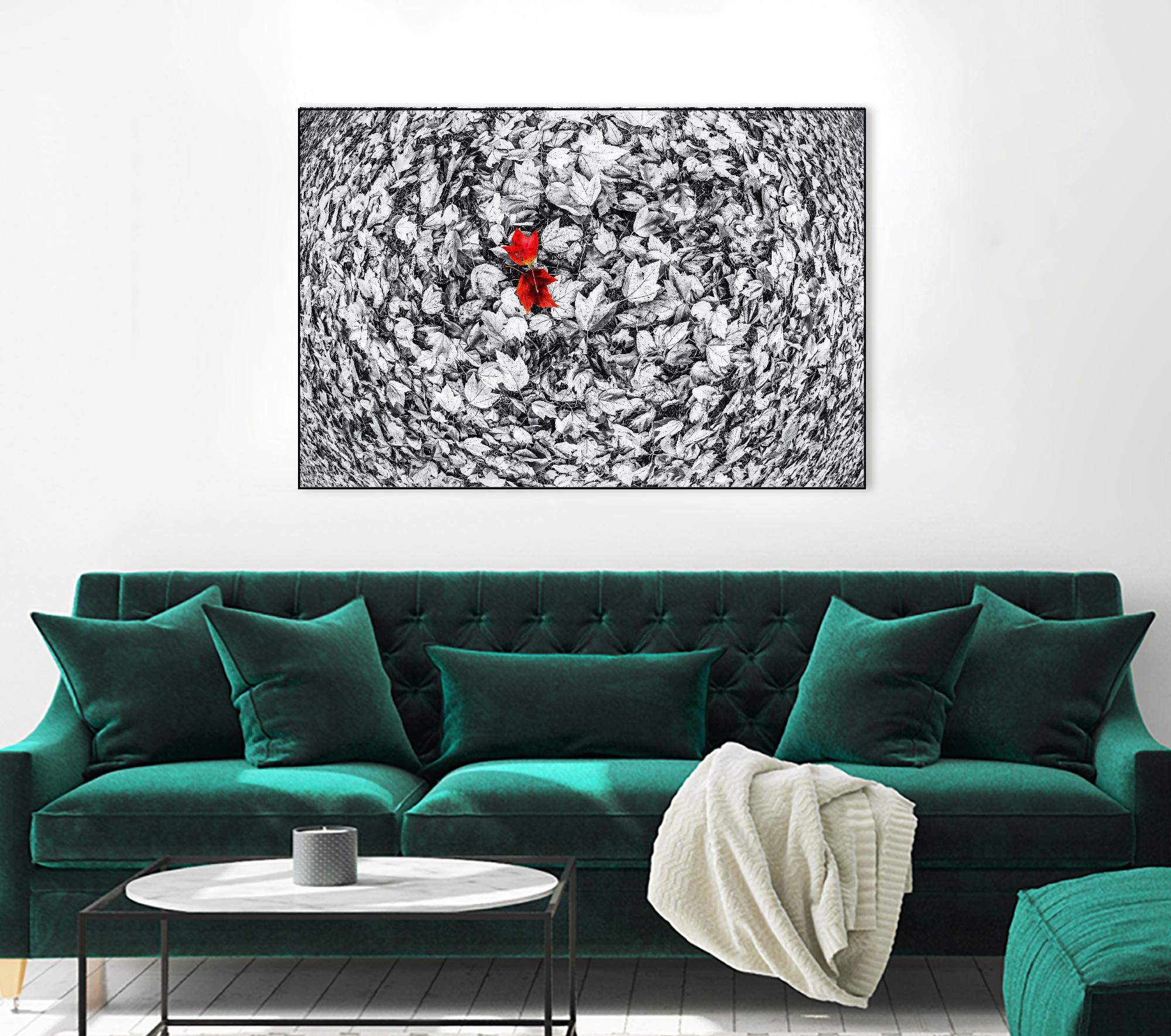 Together by Vladimir Kostka on GIANT ART - multicolor photography; floral/still life