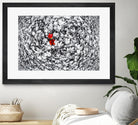 Together by Vladimir Kostka on GIANT ART - multicolor photography; floral/still life