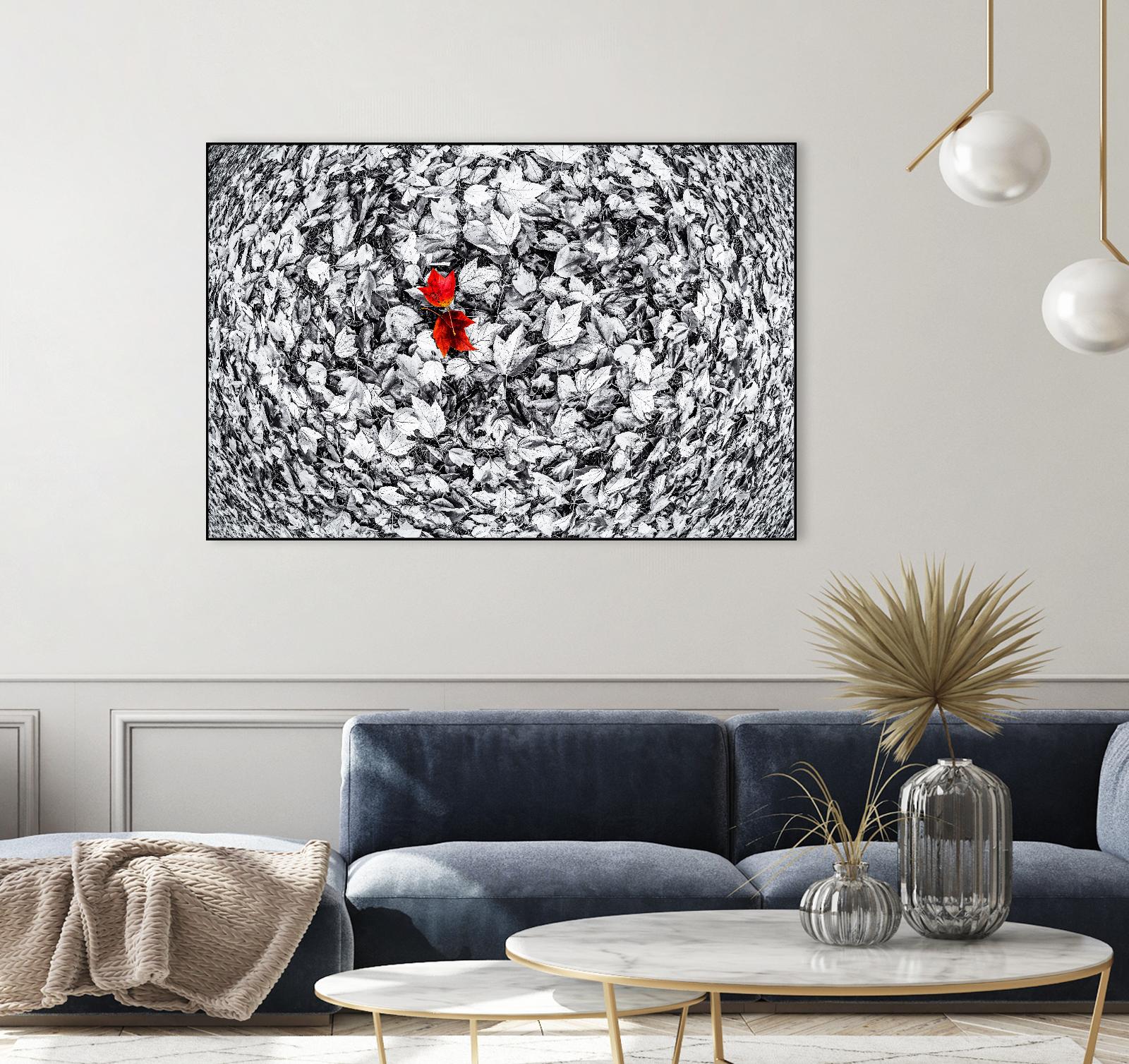 Together by Vladimir Kostka on GIANT ART - multicolor photography; floral/still life