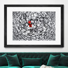 Together by Vladimir Kostka on GIANT ART - multicolor photography; floral/still life