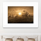 The Flight by Vladimir Kostka on GIANT ART - multicolor photography; landscapes