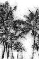 Dorado Palms 1 by Golie Miamee on GIANT ART - multicolor photography; landscapes