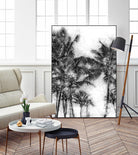 Dorado Palms 1 by Golie Miamee on GIANT ART - multicolor photography; landscapes