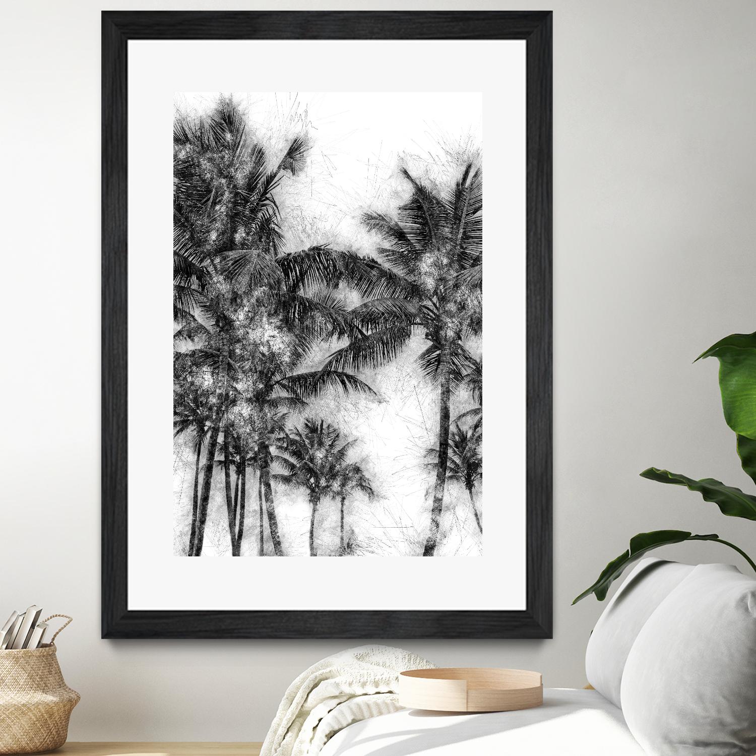 Dorado Palms 1 by Golie Miamee on GIANT ART - multicolor photography; landscapes