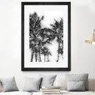 Dorado Palms 1 by Golie Miamee on GIANT ART - multicolor photography; landscapes