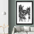 Dorado Palms 1 by Golie Miamee on GIANT ART - multicolor photography; landscapes