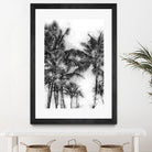 Dorado Palms 1 by Golie Miamee on GIANT ART - multicolor photography; landscapes