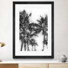 Dorado Palms 1 by Golie Miamee on GIANT ART - multicolor photography; landscapes