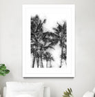 Dorado Palms 1 by Golie Miamee on GIANT ART - multicolor photography; landscapes