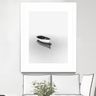 Solemn by Design Fabrikken on GIANT ART - black,white coastal, landscapes, photography, boats, waterways