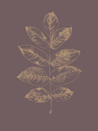 Botanica 2 by Design Fabrikken on GIANT ART - brown floral/still life, botanical, leaves, plants