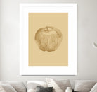 Botanica 4 by Design Fabrikken on GIANT ART - yellow floral/still life, botanical, fruit