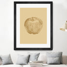 Botanica 4 by Design Fabrikken on GIANT ART - yellow floral/still life, botanical, fruit