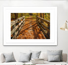 Fall On The Footbridge by Tim Oldford on GIANT ART - multicolor photography; landscapes