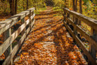 Fall On The Footbridge by Tim Oldford on GIANT ART - multicolor photography; landscapes