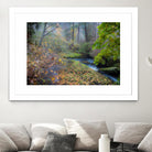 Snow in Fall by Tim Oldford on GIANT ART - multicolor photography; landscapes