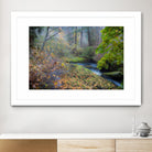 Snow in Fall by Tim Oldford on GIANT ART - multicolor photography; landscapes
