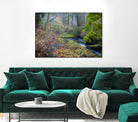 Snow in Fall by Tim Oldford on GIANT ART - multicolor photography; landscapes