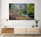 Snow in Fall by Tim Oldford on GIANT ART - multicolor photography; landscapes